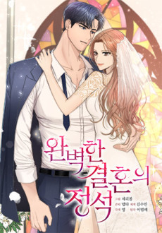 Perfect Marriage Revenge DE Cover Image